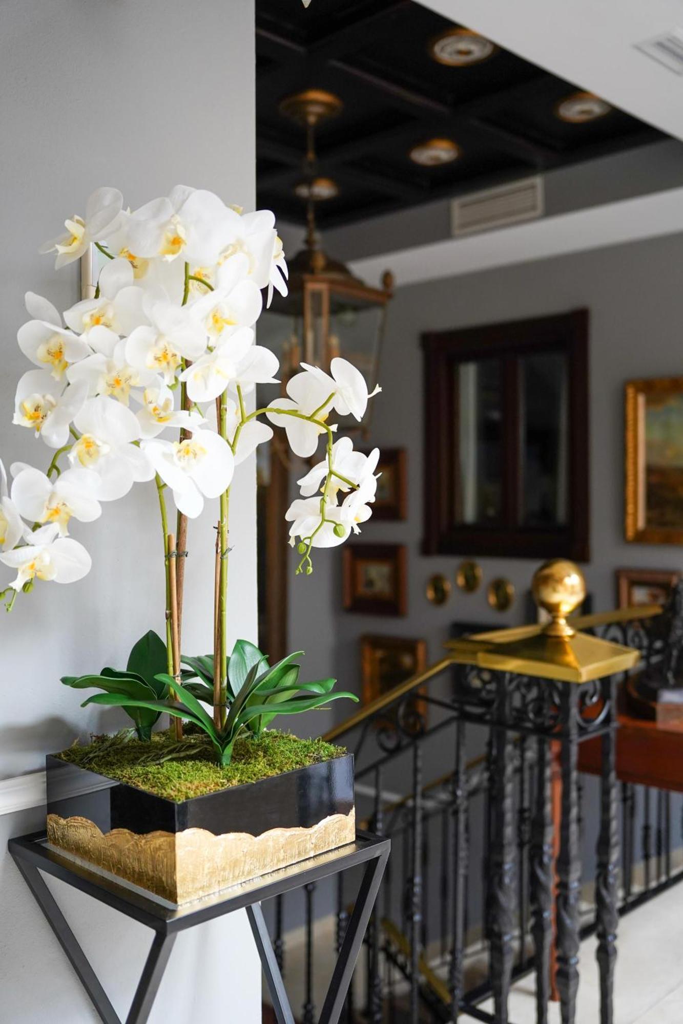 Hotel Boutique Casa Veracruz 에스테포나 외부 사진